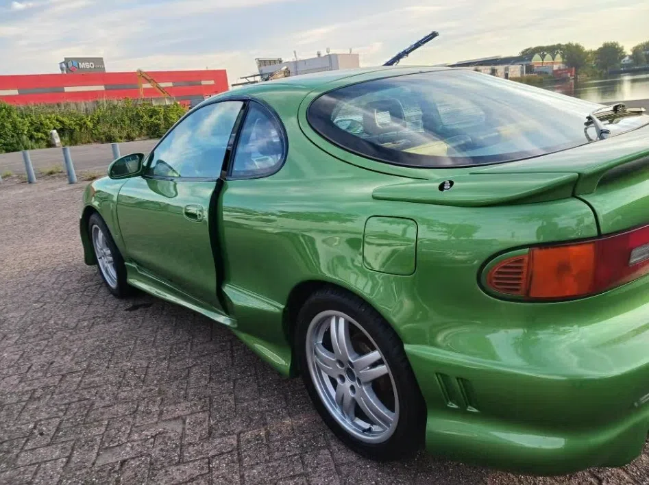 Dikke celica jonguh